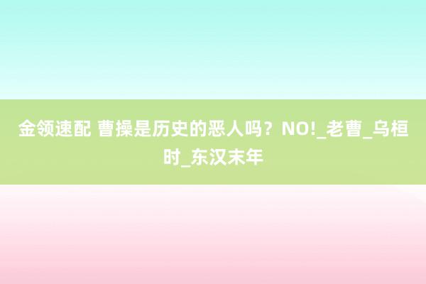 金领速配 曹操是历史的恶人吗？NO!_老曹_乌桓时_东汉末年