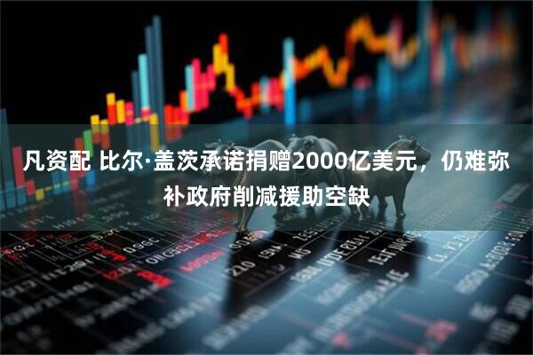 凡资配 比尔·盖茨承诺捐赠2000亿美元，仍难弥补政府削减援助空缺