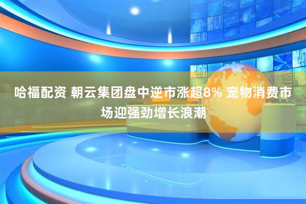 哈福配资 朝云集团盘中逆市涨超8% 宠物消费市场迎强劲增长浪潮
