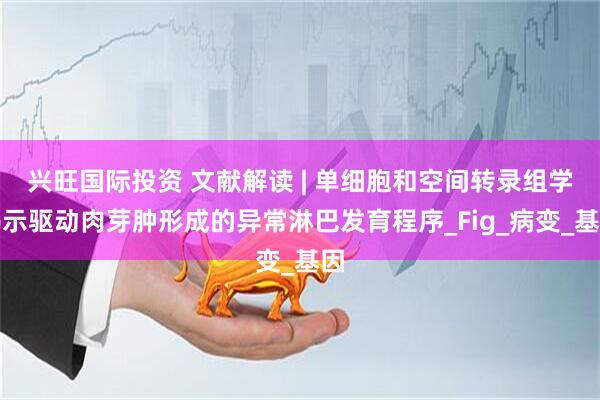 兴旺国际投资 文献解读 | 单细胞和空间转录组学揭示驱动肉芽肿形成的异常淋巴发育程序_Fig_病变_基因