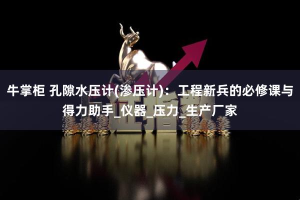 牛掌柜 孔隙水压计(渗压计)：工程新兵的必修课与得力助手_仪器_压力_生产厂家