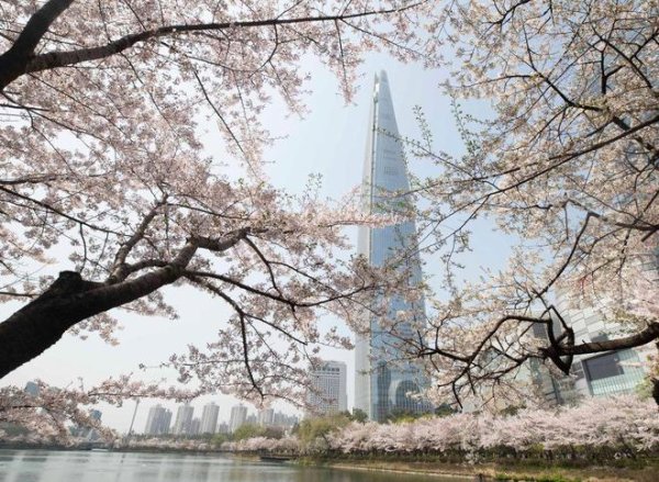 云谷策略 外国人买房须当地政府批准！韩国政府紧急出台楼市新政的背后