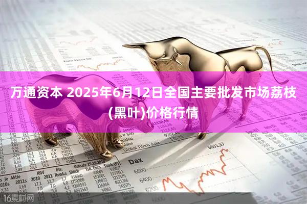 万通资本 2025年6月12日全国主要批发市场荔枝(黑叶)价格行情