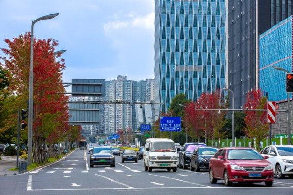 无忧配 夏赏紫英秋观红 锦江大道秋色上线